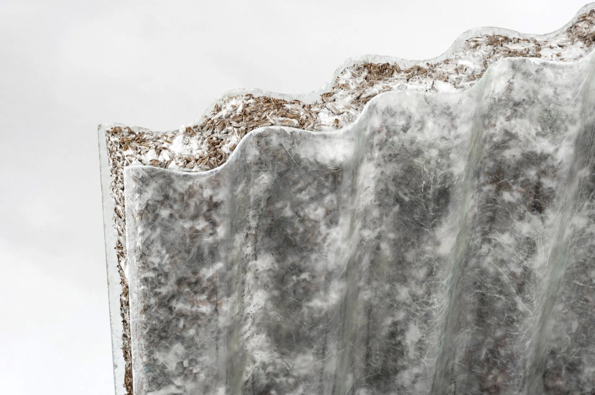 A biomaterial panel created by Studio Jannis Schäfer and Alvise Rizzo, made from 100% BSG brewer's grain and encased in a clear plastic sheet. The close-up image shows the textured, grainy material sandwiched between the wavy plastic layers, highlighting the innovative use of organic waste materials for sustainable design.