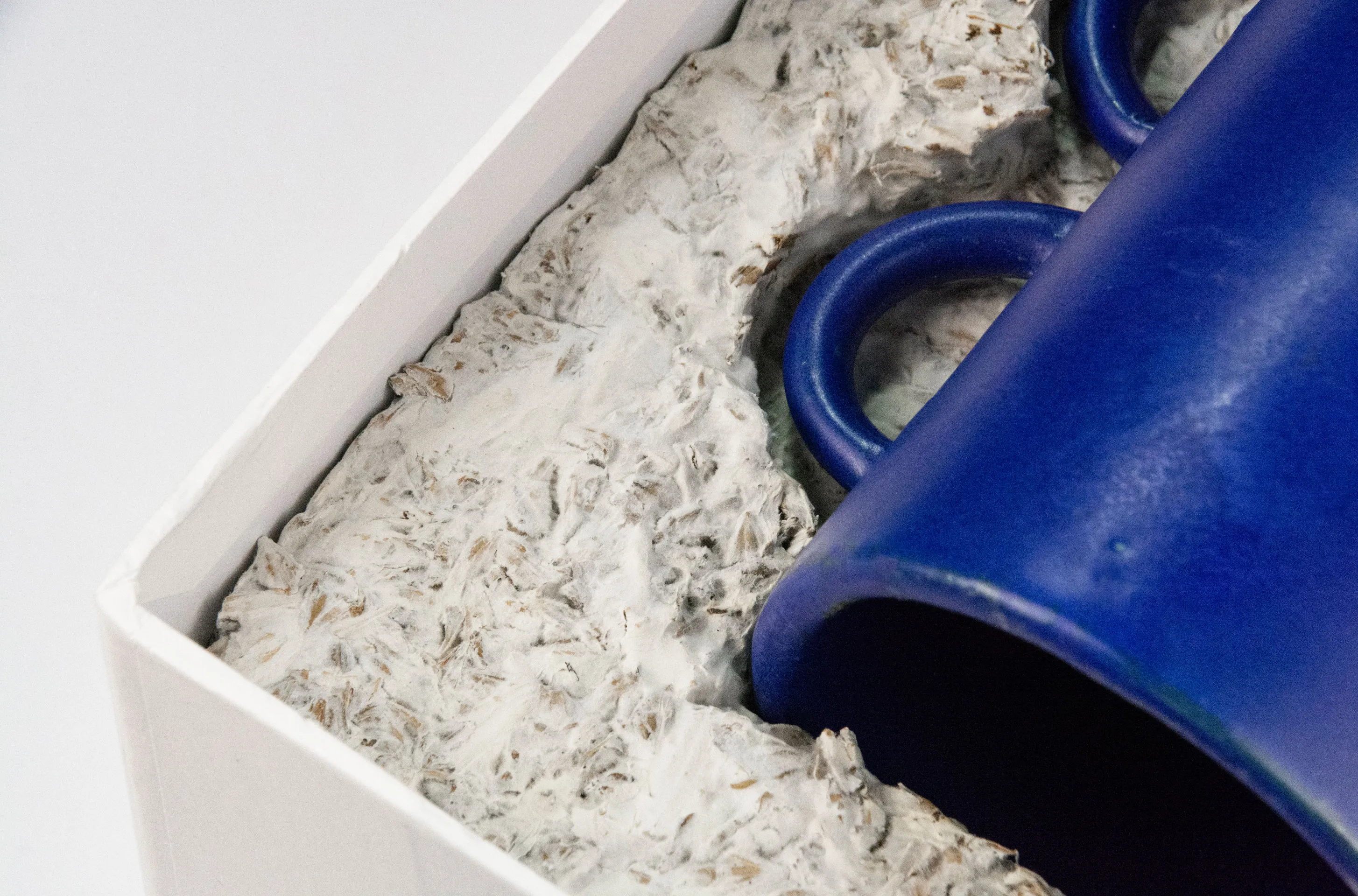 A packaging project created by Studio Jannis Schäfer and Alvise Rizzo for ceramic artist Cini Mati. The biomaterial packaging is grown on 100% BSG brewer's grain, featuring a blue ceramic piece nestled within a white box filled with the grain-based material. A small card with a logo is placed beside the box.