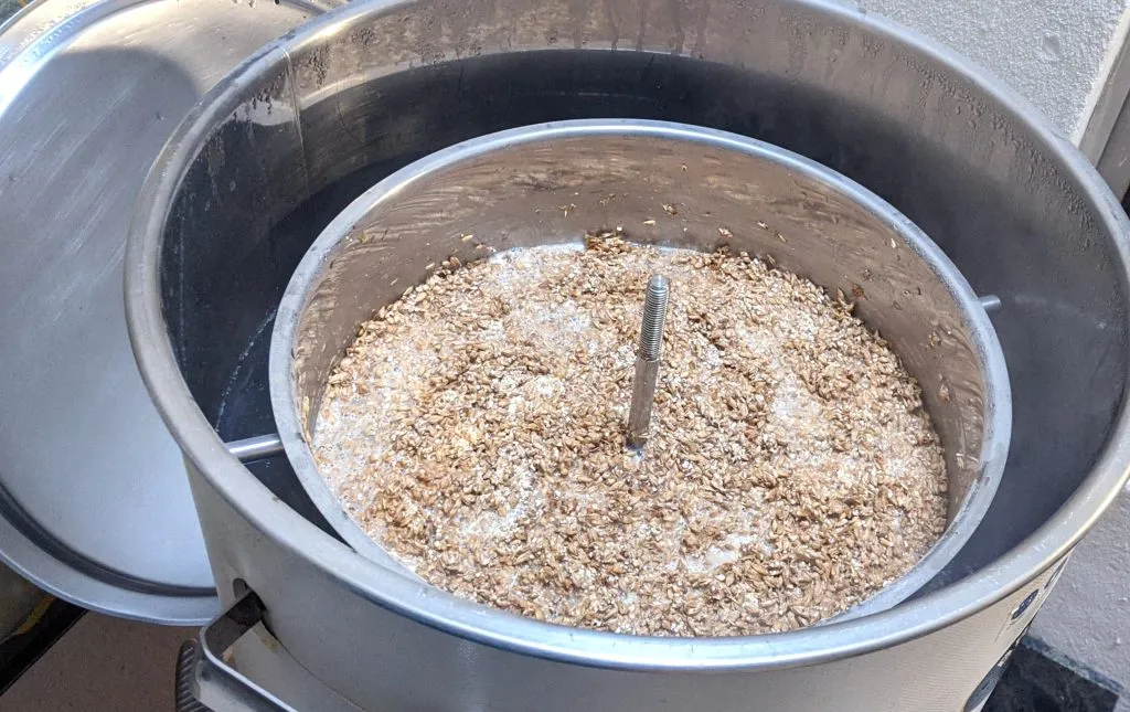 BSG brewers spent grain mycelium