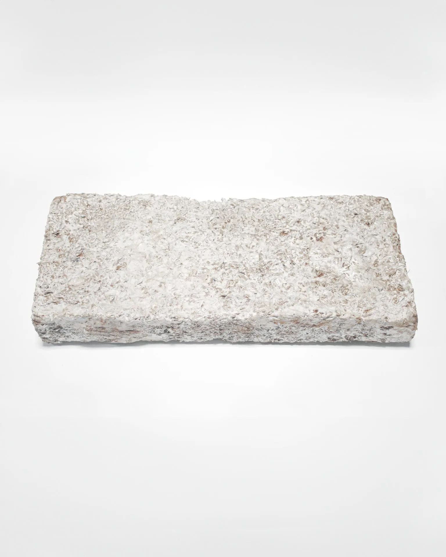 Rectangular piece of mycelium biomaterial grown on BSG with a rough, textured surface, designed by studio Jannis Schäfer, shown on a plain white background.