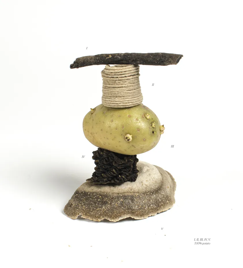 A totem created by Jannis Schäfer Studio, titled 'The Nature of Transformation: Lessons from a Potato.' The sculpture features various biomaterials made from 100% potato, including elements that are fermented, 3D printed, hand-formed, and molded. The totem is a complex assemblage of different shapes and textures, demonstrating innovative processing techniques.