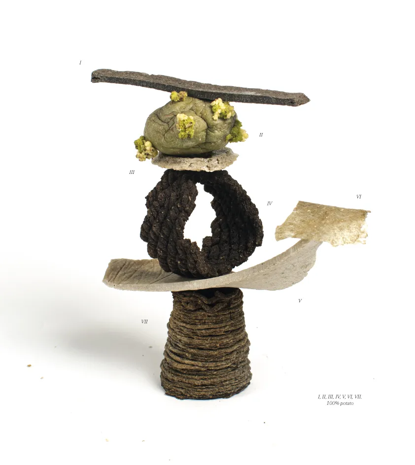 A totem created by Jannis Schäfer Studio, titled 'The Nature of Transformation: Lessons from a Potato.' The sculpture features various biomaterials made from 100% potato, including elements that are fermented, 3D printed, hand-formed, and molded. The totem is a complex assemblage of different shapes and textures, demonstrating innovative processing techniques.