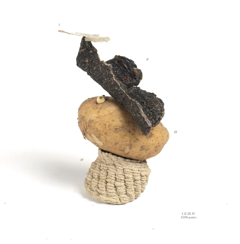 A totem created by Jannis Schäfer Studio, titled 'The Nature of Transformation: Lessons from a Potato.' The sculpture features various biomaterials made from 100% potato, including elements that are fermented, 3D printed, hand-formed, and molded. The totem is a complex assemblage of different shapes and textures, demonstrating innovative processing techniques.